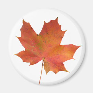 Gestorven Leaf 01 Magneet