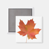 Gestorven Leaf 01 Magneet (Voorkant / Achterkant)