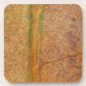 Gestorven lef 11 bier onderzetter (Voorkant)