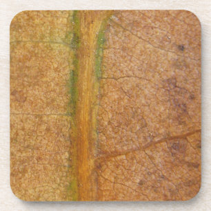 Gestorven lef 11 bier onderzetter