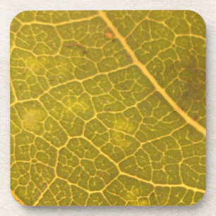 Gestorven lef 13A Bier Onderzetter