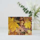 Gestorven Maple laat Yellow Autumn Natuur (Staand voorkant)