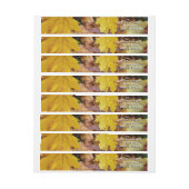 Gestorven Maple laat Yellow Autumn Natuur (Vel)