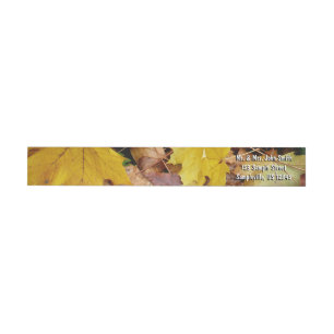 Gestorven Maple laat Yellow Autumn Natuur
