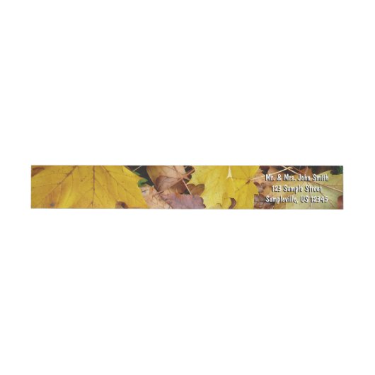 Gestorven Maple laat Yellow Autumn Natuur (Individueel)