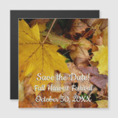 Gestorven Maple laat Yellow Autumn Natuur (Voorkant / Achterkant)