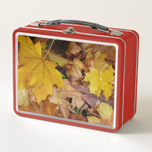 Gestorven Maple laat Yellow Autumn Natuur