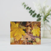 Gestorven Maple laat Yellow Autumn Natuur Briefkaart (Staand voorkant)