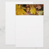 Gestorven Maple laat Yellow Autumn Natuur Briefpapier (Voorkant / Achterkant)