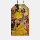 Gestorven Maple laat Yellow Autumn Natuur Cadeaulabel (Voorkant)