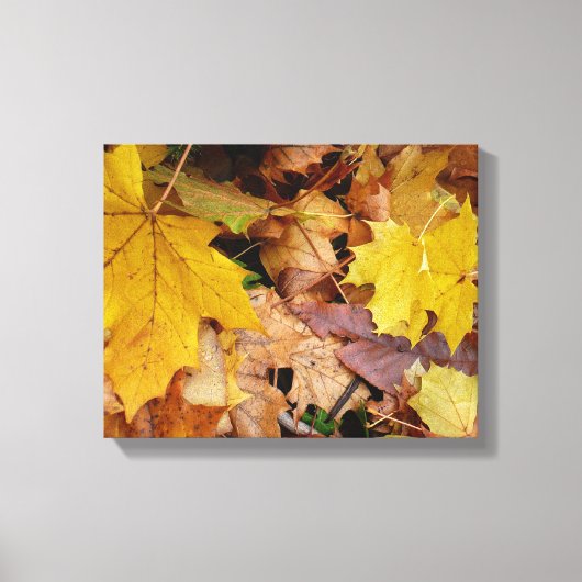 Gestorven Maple laat Yellow Autumn Natuur Canvas Afdruk (Voorkant)