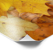 Gestorven Maple laat Yellow Autumn Natuur Foto Afdruk (Hoek)