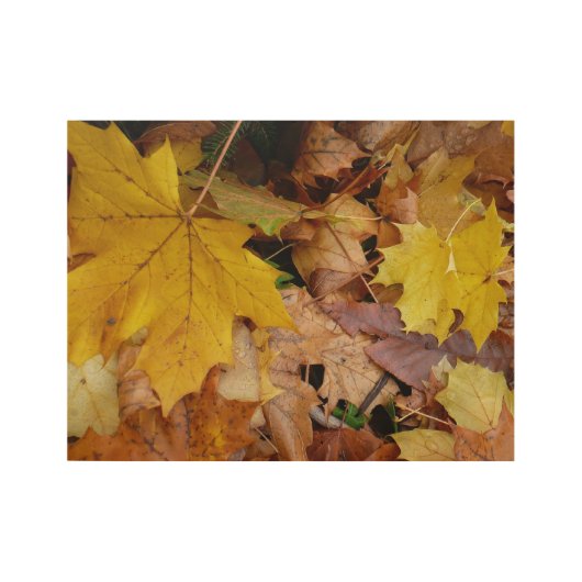 Gestorven Maple laat Yellow Autumn Natuur Houten Poster (Voorkant)