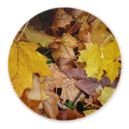 Gestorven Maple laat Yellow Autumn Natuur Keramische Knop (Voorkant)