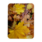 Gestorven Maple laat Yellow Autumn Natuur Magneet (Verticaal)