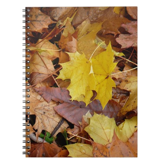 Gestorven Maple laat Yellow Autumn Natuur Notitieboek (Voorkant)