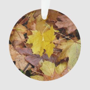Gestorven Maple laat Yellow Autumn Natuur Ornament
