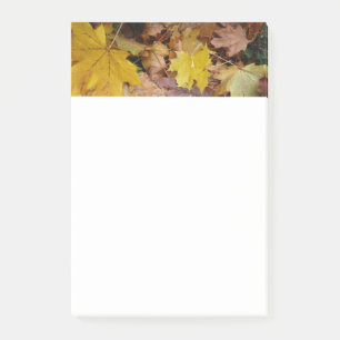 Gestorven Maple laat Yellow Autumn Natuur Post-it® Notes