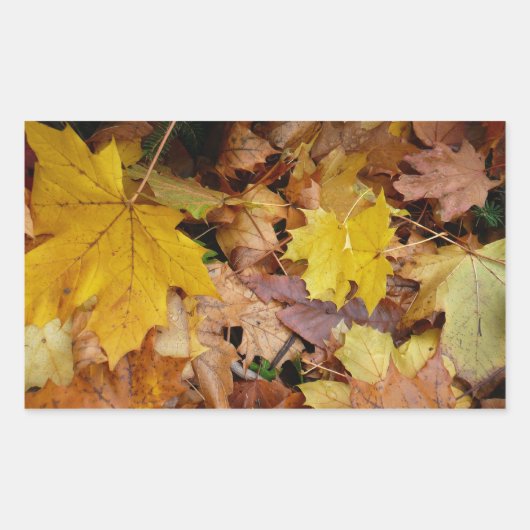 Gestorven Maple laat Yellow Autumn Natuur Rechthoekige Sticker (Voorkant)