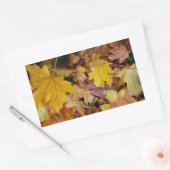 Gestorven Maple laat Yellow Autumn Natuur Rechthoekige Sticker (Envelop)