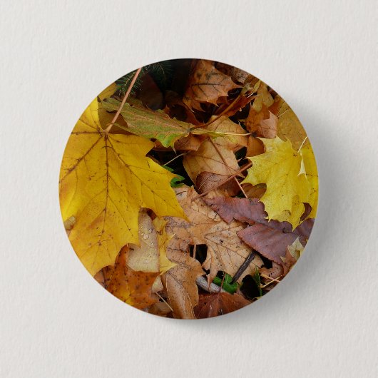 Gestorven Maple laat Yellow Autumn Natuur Ronde Button 5,7 Cm (Voorkant)
