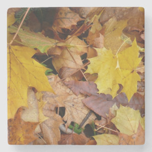 Gestorven Maple laat Yellow Autumn Natuur Stenen Onderzetter