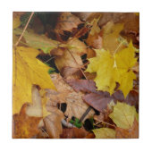 Gestorven Maple laat Yellow Autumn Natuur Tegeltje (Voorkant)