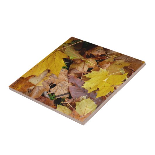Gestorven Maple laat Yellow Autumn Natuur Tegeltje (Zijkant)