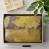 Gestorven Maple laat Yellow Autumn Natuur Tissuepapier (Geschenk)