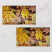 Gestorven Maple laat Yellow Autumn Natuur Visitekaartje (Voorkant / Achterkant)
