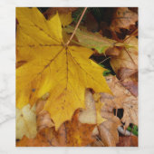 Gestorven Maple laat Yellow Autumn Natuur Wijn Etiket (Enkel label)