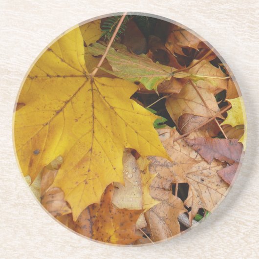 Gestorven Maple laat Yellow Autumn Natuur Zandsteen Onderzetter (Voorkant)