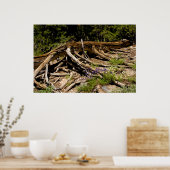 Gestorven pine-boom poster (Keuken)