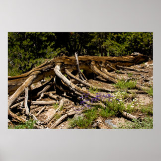 Gestorven pine-boom poster