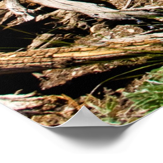 Gestorven pine-boom poster (Hoek)