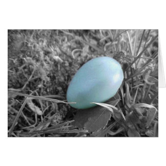 Gestorven van het nest