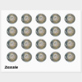 Gestrande Jellyvisereeks coördinerende items Ronde Sticker (Vel)