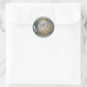 Gestrande Jellyvisereeks coördinerende items Ronde Sticker (Tas)