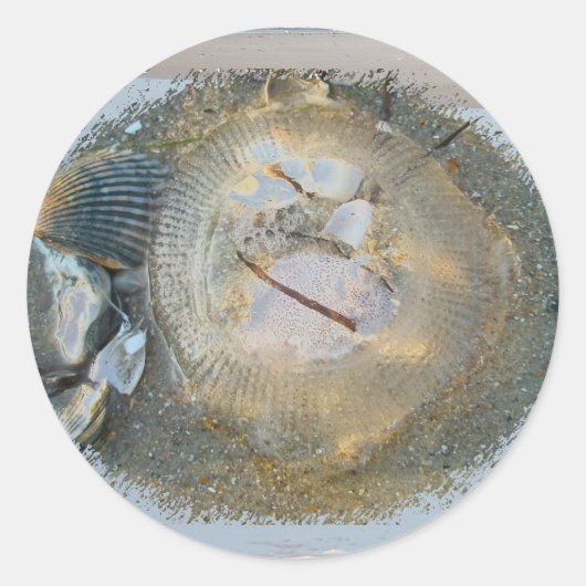 Gestrande Jellyvisereeks coördinerende items Ronde Sticker (Voorkant)