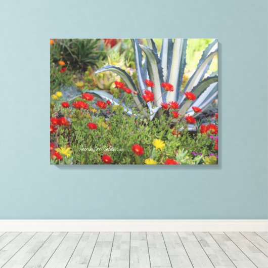 Gestreept Agave en Ice Plant Canvas Afdruk (Insitu (Houten vloer))