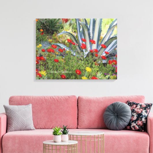 Gestreept Agave en Ice Plant Canvas Afdruk (Insitu (Woonkamer))