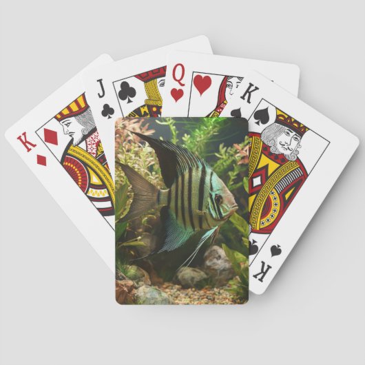 Gestreept altum engelvis pokerkaarten (Achterkant)