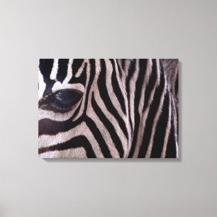 Gestreept Art. Canvas Afdruk