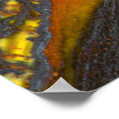 Gestreept Australisch Tijgeroog Poster (Hoek)