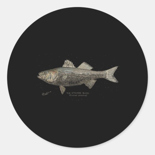 Gestreept B Vissen Ronde Sticker (Voorkant)
