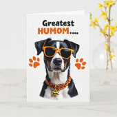 Gestreept Coole Hond Kaart (Gele Bloem)