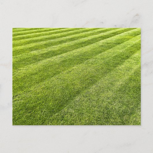 Gestreept gazon Abstract Briefkaart (Voorkant)