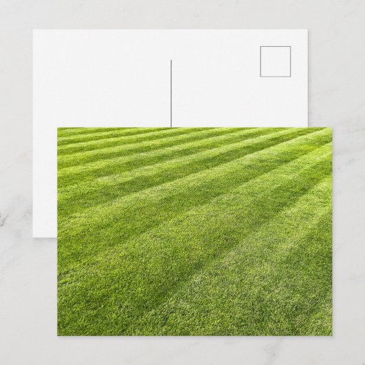 Gestreept gazon Abstract Feestdagenkaart (Voorkant / Achterkant)