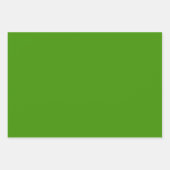 Gestreept Grass Green en Denim Blue Wrapping Paper (Voorkant 3)