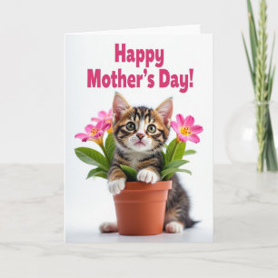 Gestreept Kitten Verjaardagskaart Kaart